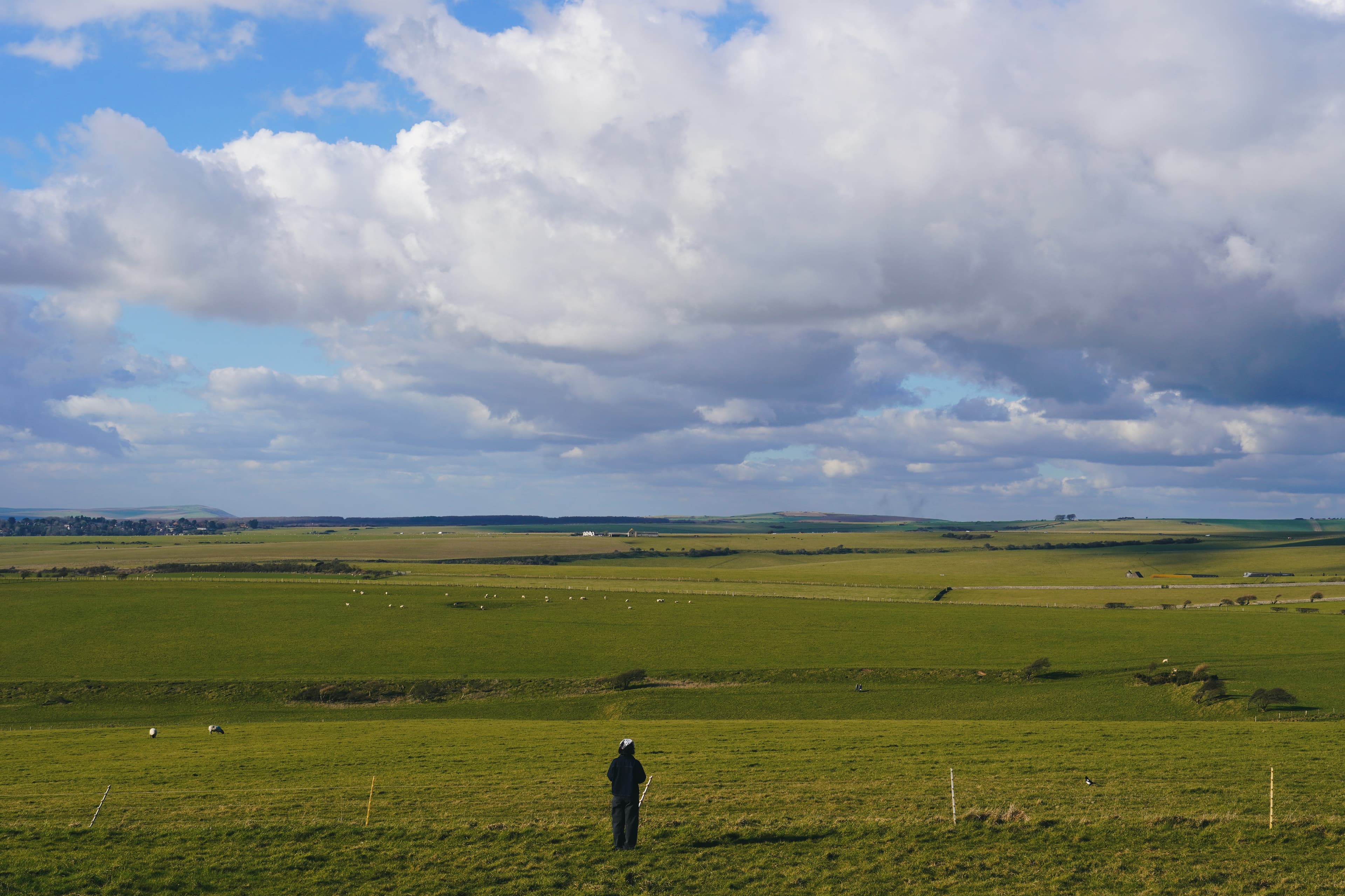 The Edge of Everything: Seven Sisters