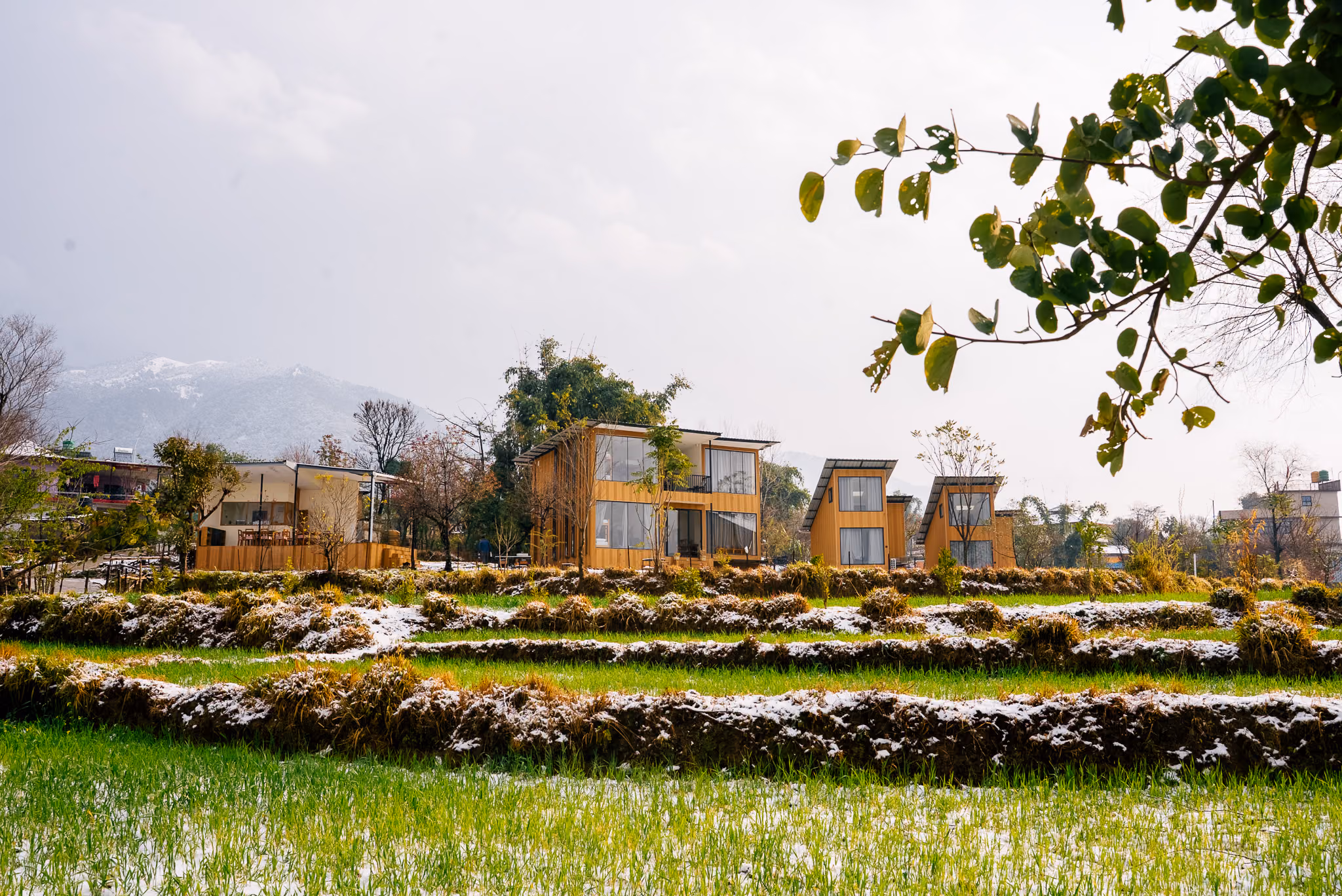 Life at Qudrat, Bir